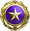 Gold star pin